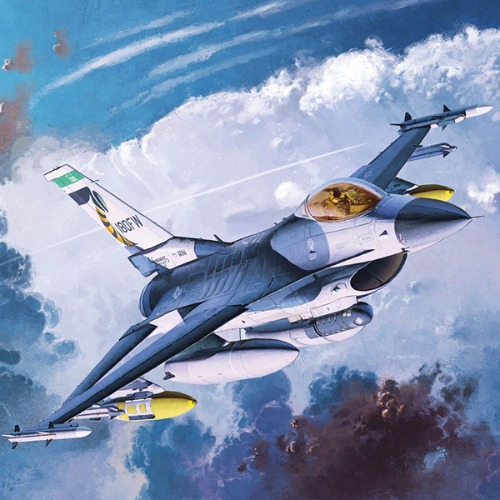 [1/72] 12425 F-16C 주방위공군