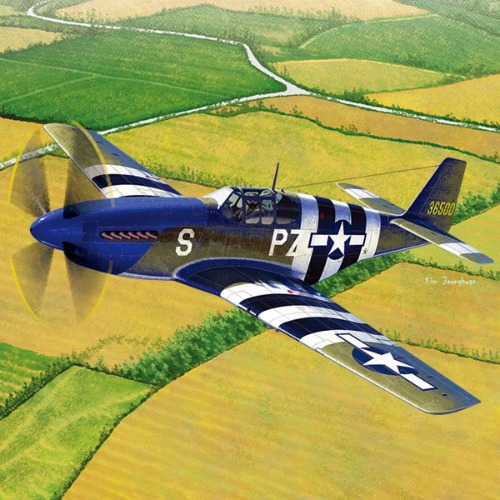 [1/48] 12303 USAAF P-51B Blue nose